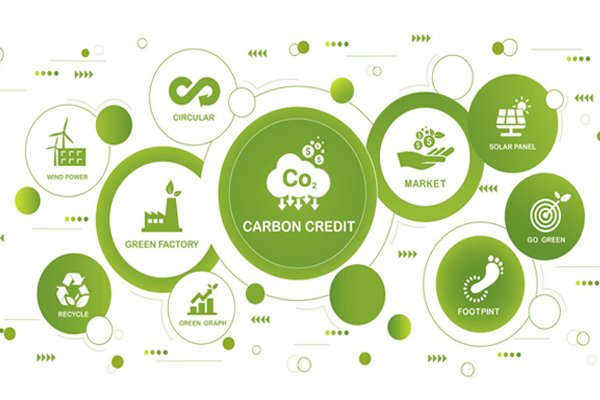 CO₂ Pricing in 2035: A Forecast for Climate-Driven Economies
